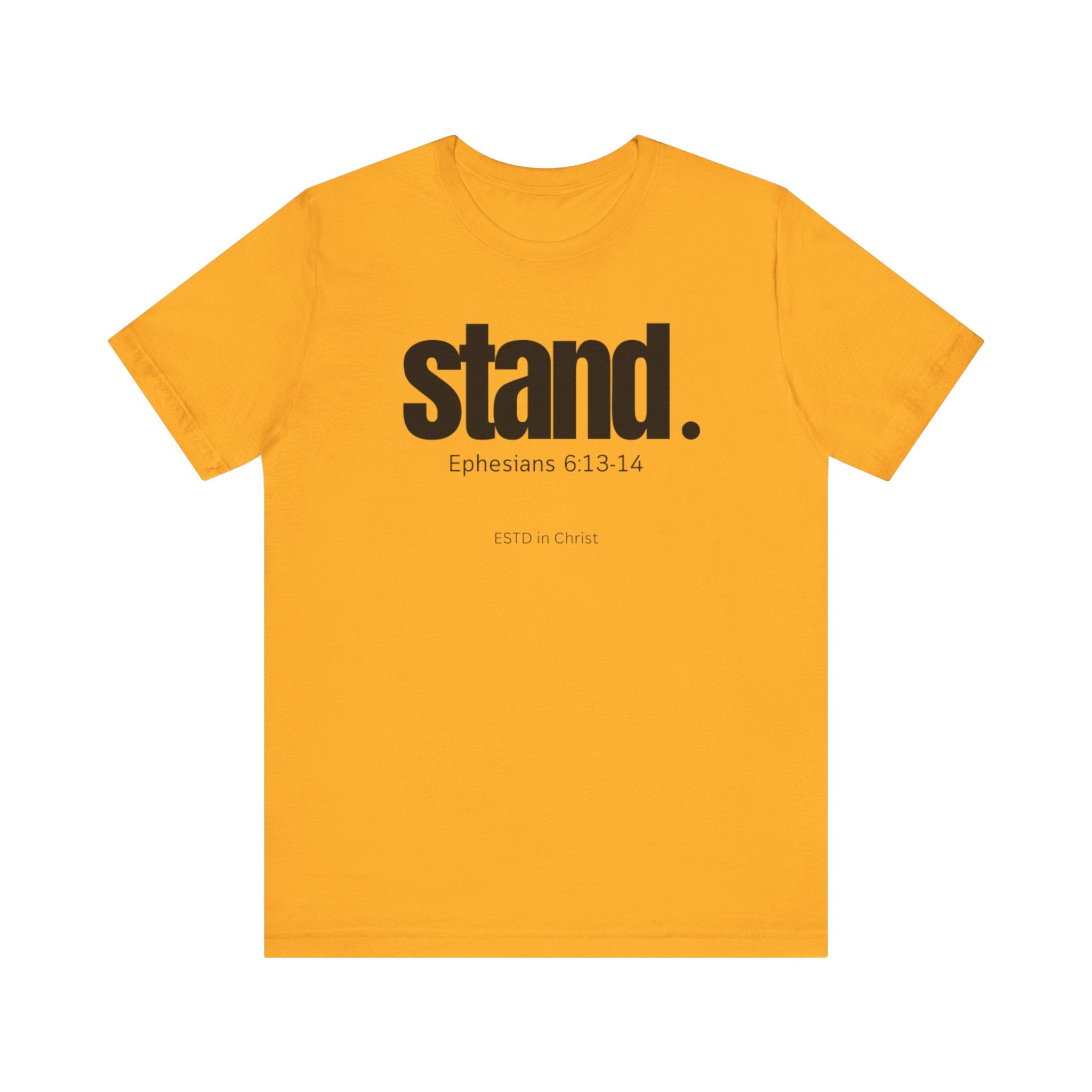 Stand (Ephesians 6:13-14) T-shirt