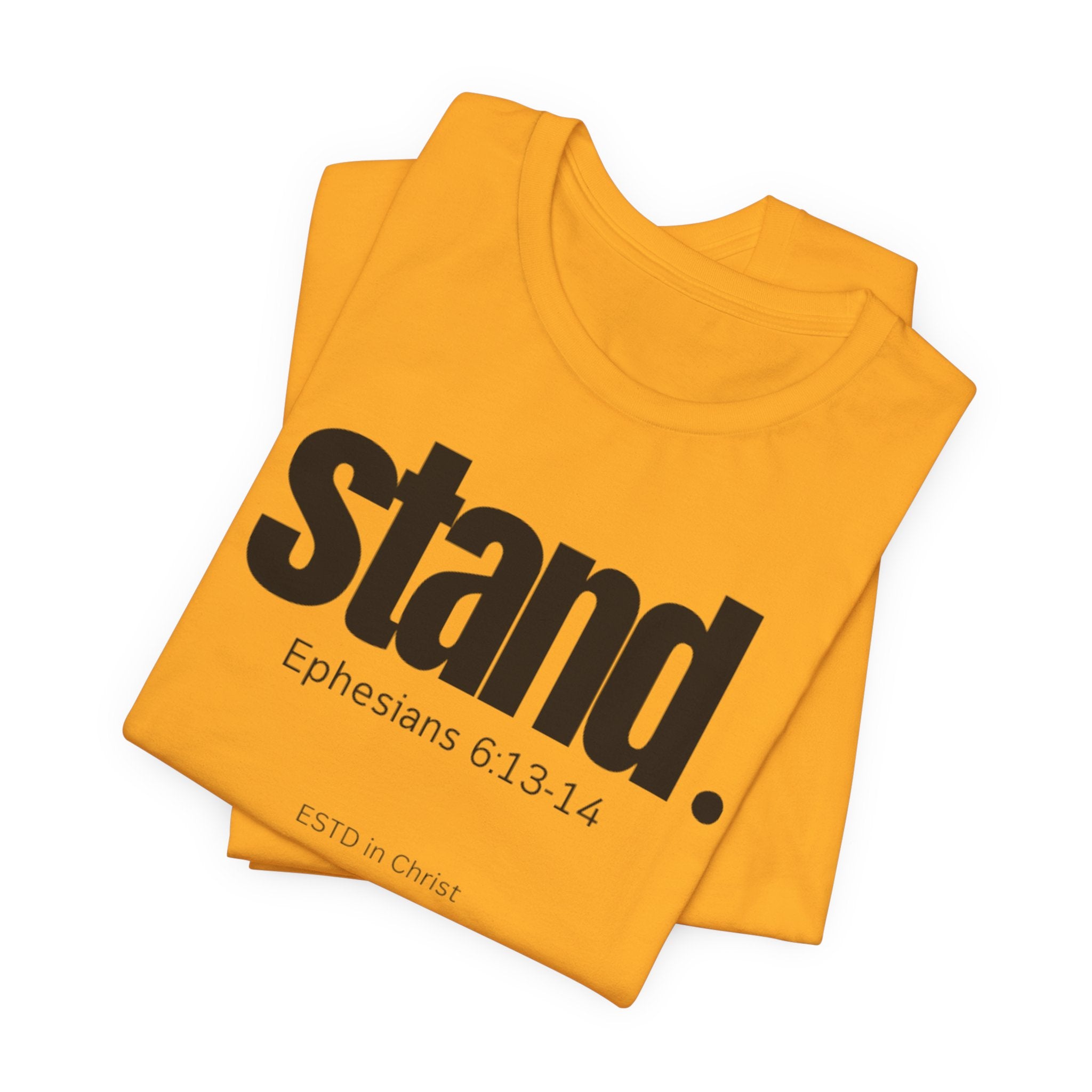 Stand (Ephesians 6:13-14) T-shirt