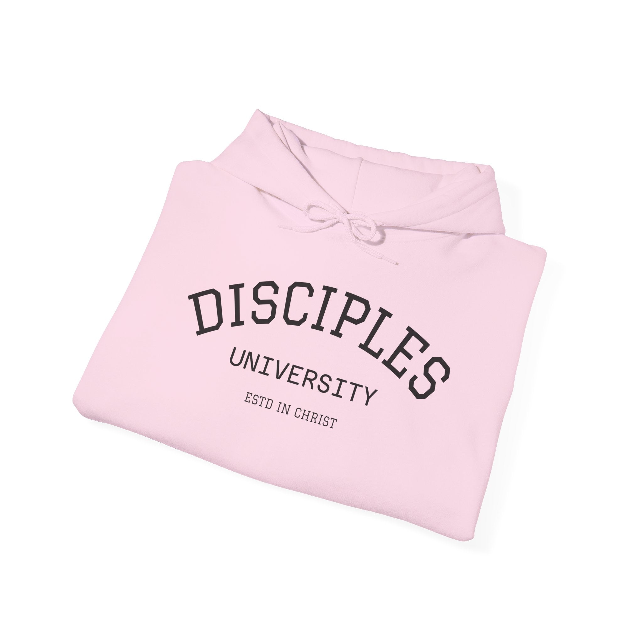 Disciples University-Head Crushers (Genesis 3:15) Hoodie